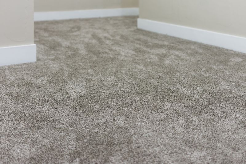 Finished Carpet in Residential Space
