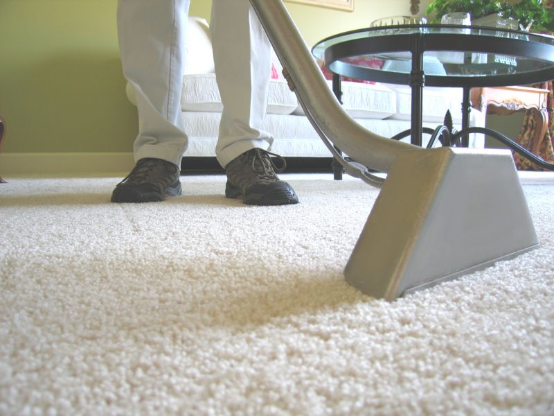 Eco-Friendly Carpet Cleaners